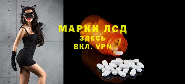 PSILOCYBIN Бородино