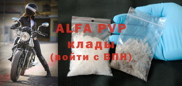 PSILOCYBIN Бородино