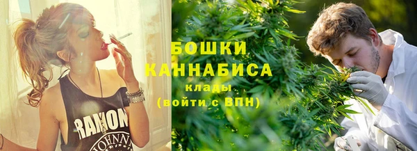 PSILOCYBIN Бородино