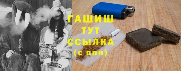 PSILOCYBIN Бородино