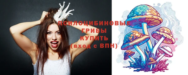 ГАЛЛЮЦИНОГЕННЫЕ ГРИБЫ Богородицк