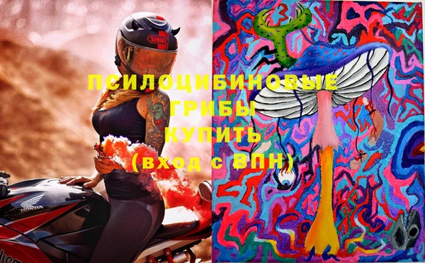 шишки Бугульма